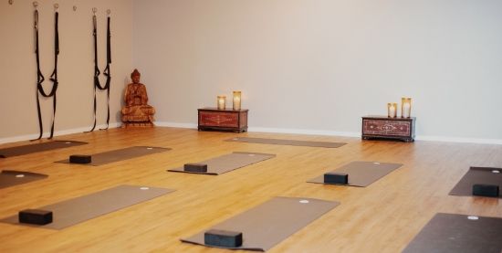 My Yoga na Virada Zen - VINYASA & ALINHAMENTO