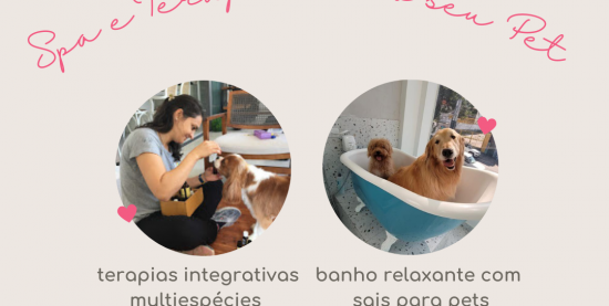 Spa e Terapia com o seu Pet